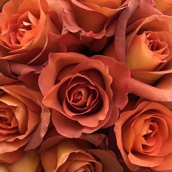 Petali Flowers